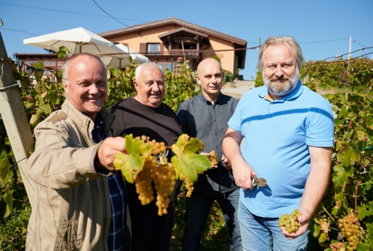 Unatoč teškoj vinogradarskoj godini vinari Bregovite Hrvatske očekuju vrlo dobra vina