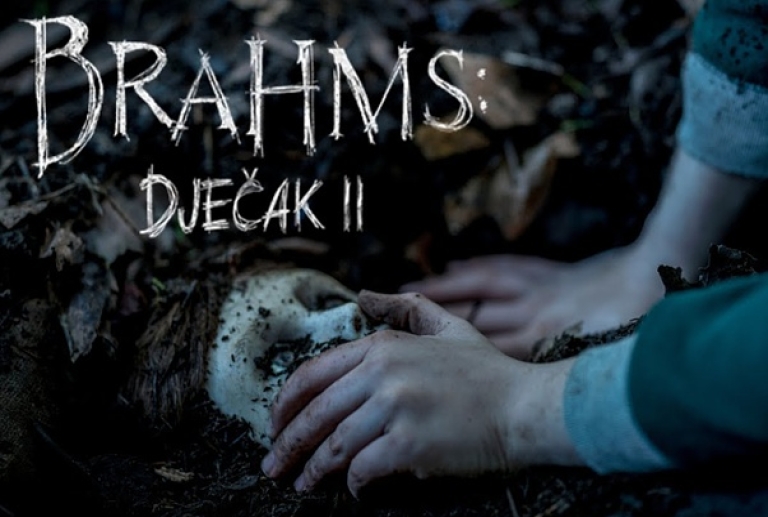 Brahms: Dječak II